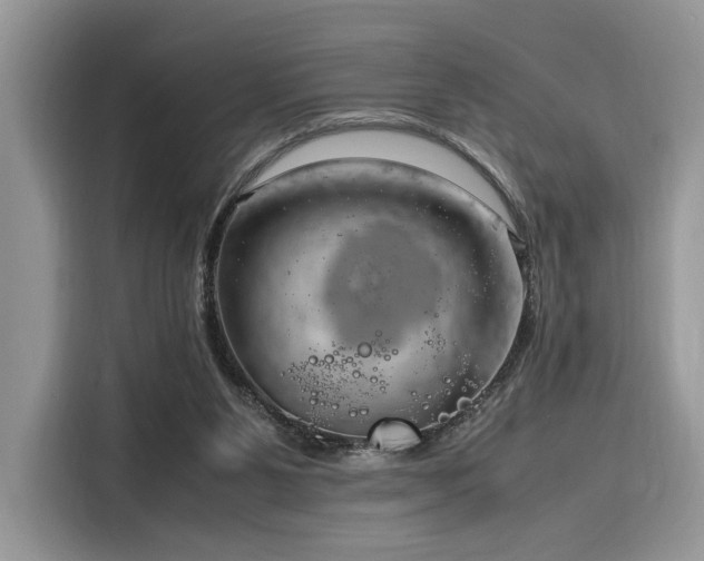 X0000116260111200911301201