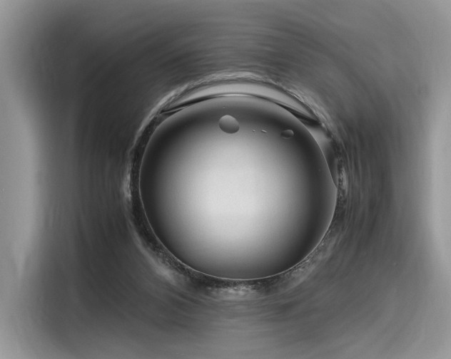 X0000116260112200911301201