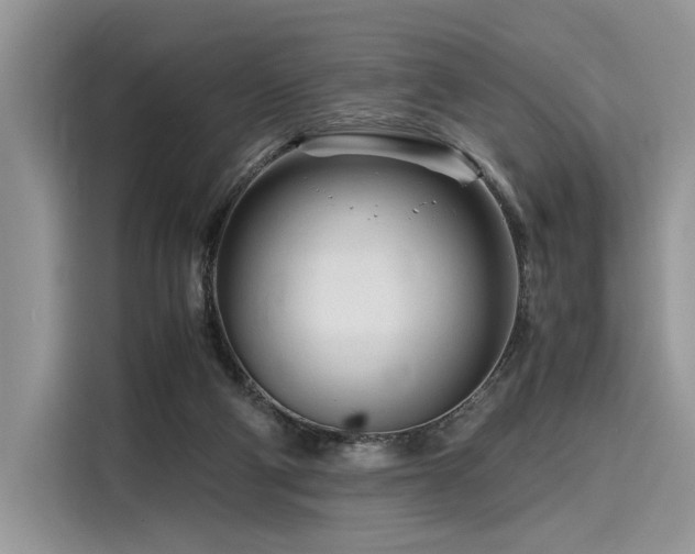 X0000116260114200911301201