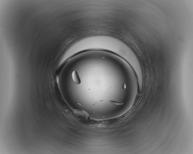 X0000116260116200911301201