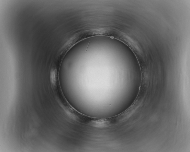 X0000116260118200911301201
