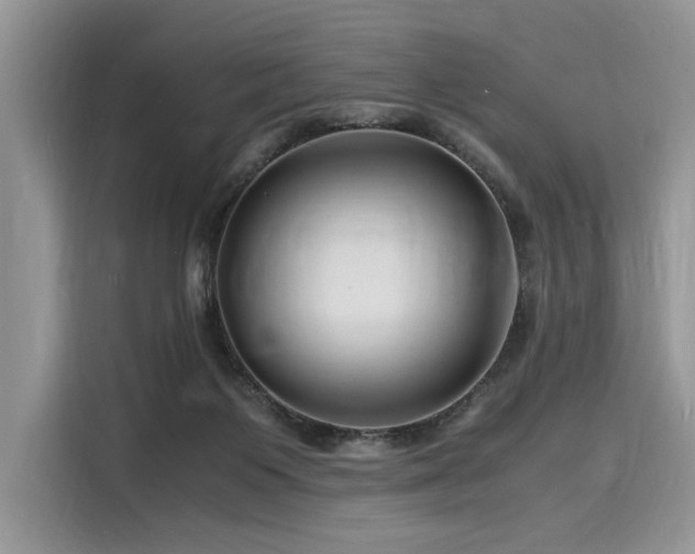 X0000116260119200911301201