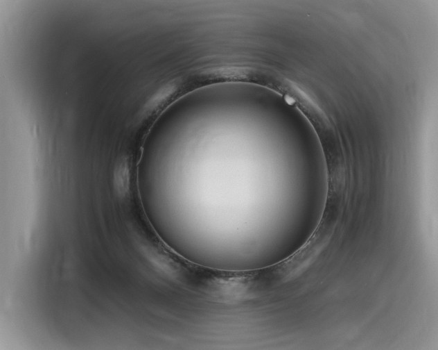 X0000116260120200911301201