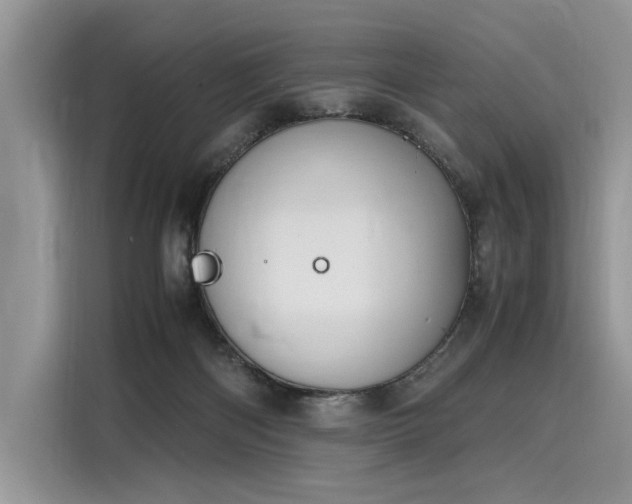 X0000116260122200911301201