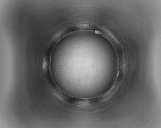 X0000116260124200911301201