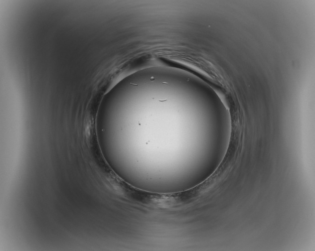 X0000116260125200911301201