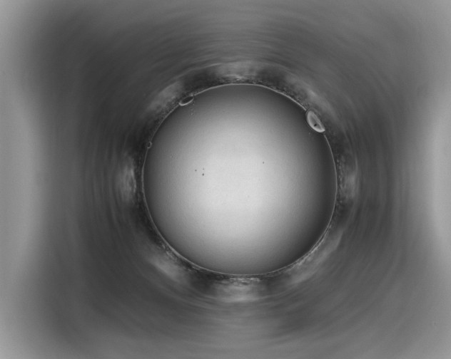 X0000116260128200911301201