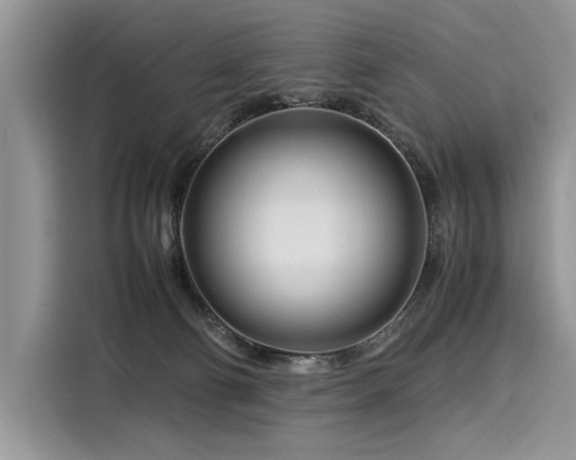 X0000116260130200911301201