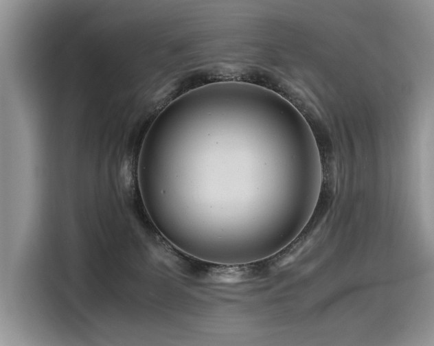 X0000116260131200911301201