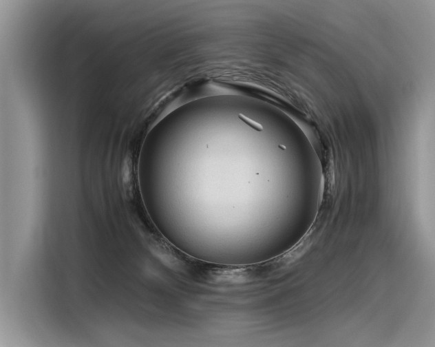 X0000116260132200911301201
