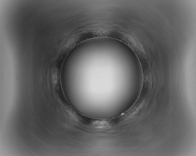 X0000116260133200911301201