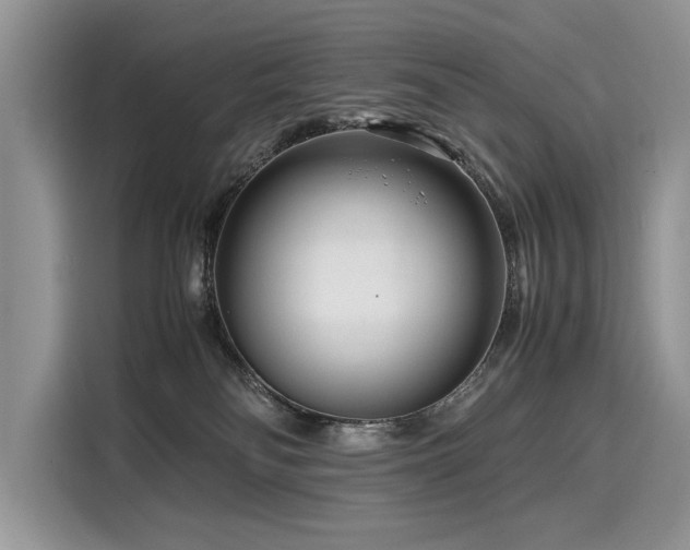 X0000116260134200911301201