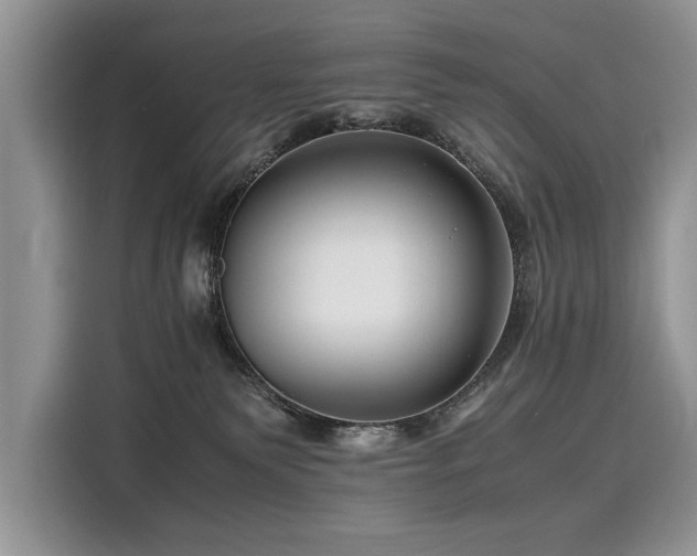 X0000116260135200911301201