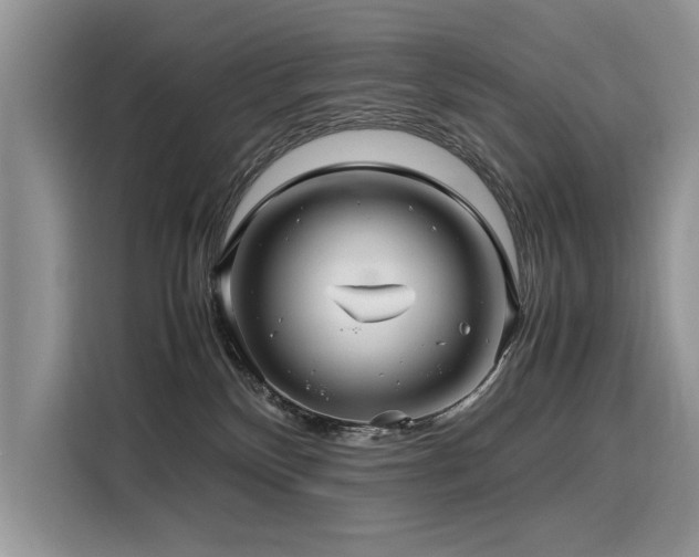 X0000116260136200911301201