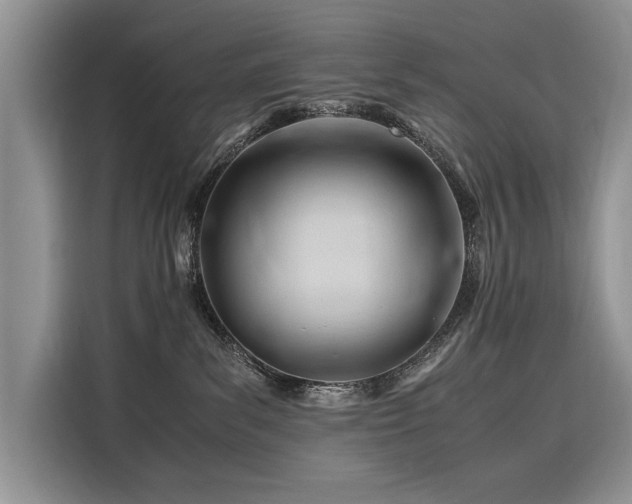 X0000116260139200911301201