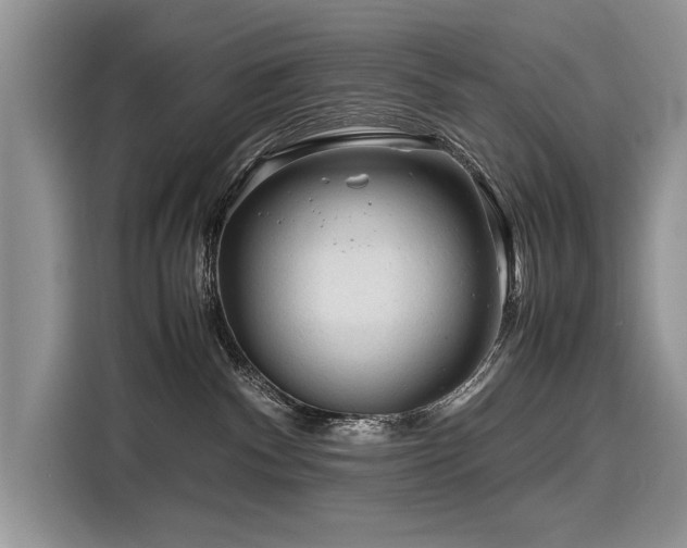 X0000116260140200911301201