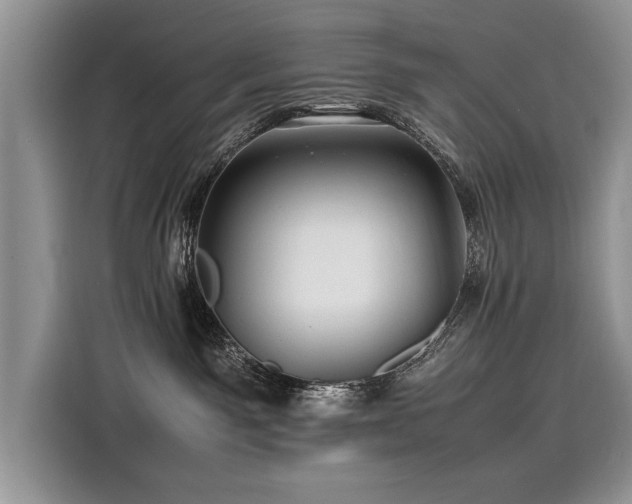 X0000116260141200911301201