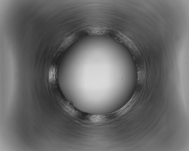 X0000116260142200911301201