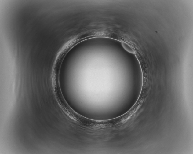 X0000116260149200911301200