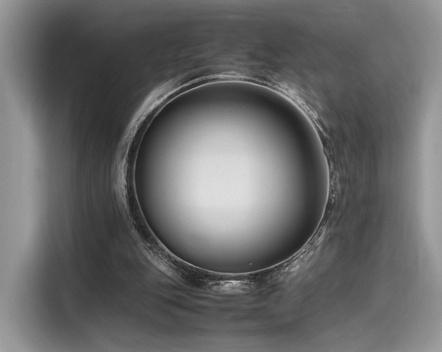 X0000116260151200911301200