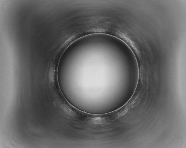 X0000116260153200911301200