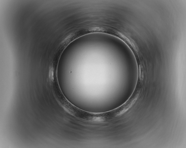 X0000116260157200911301200