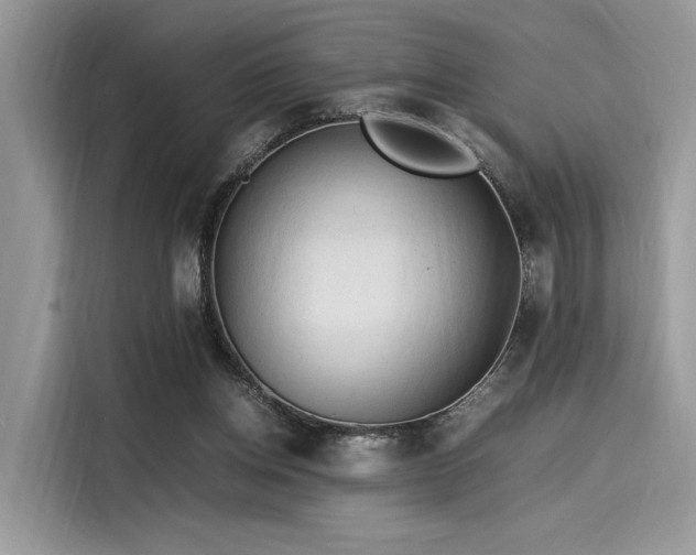 X0000116260158200911301200