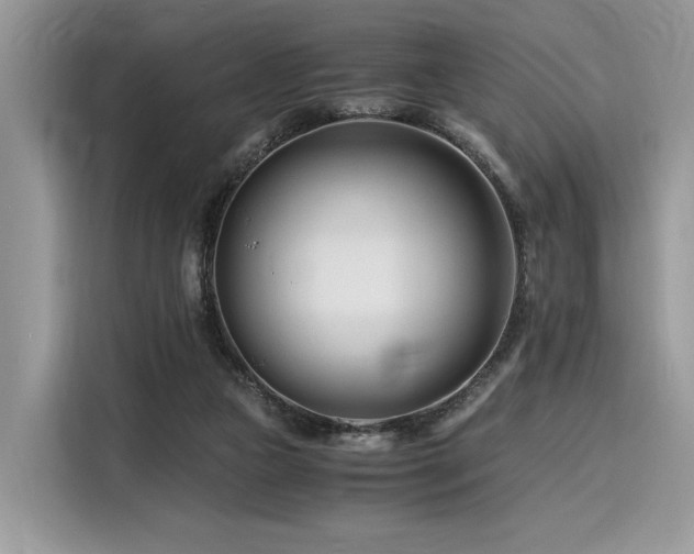 X0000116260161200911301200