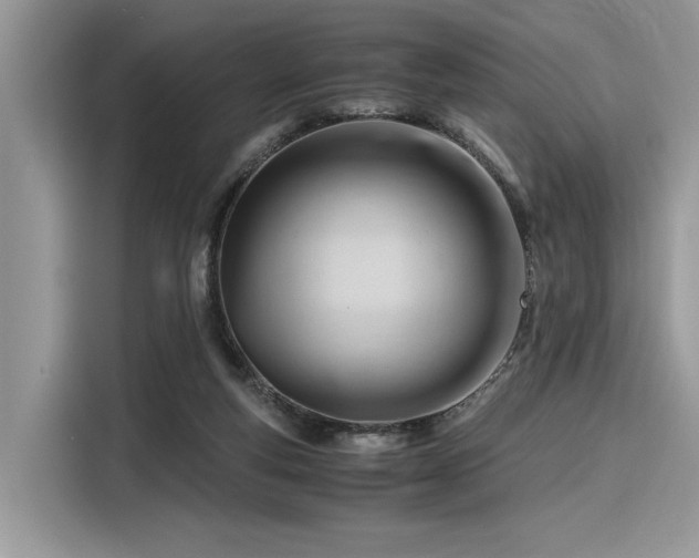X0000116260163200911301200