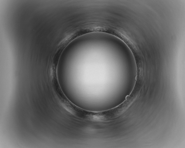 X0000116260165200911301200