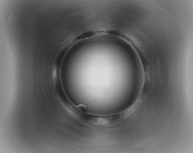 X0000116260166200911301200