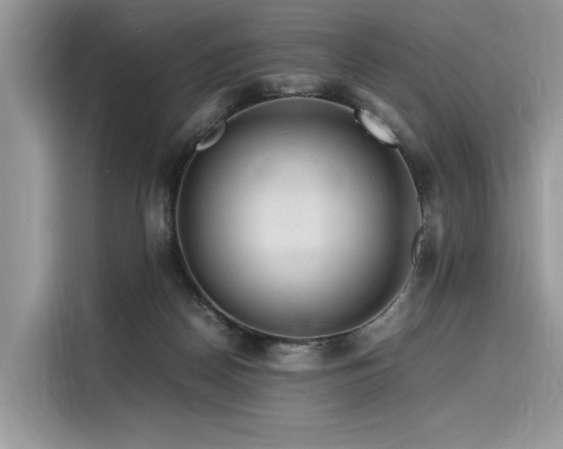 X0000116260170200911301200