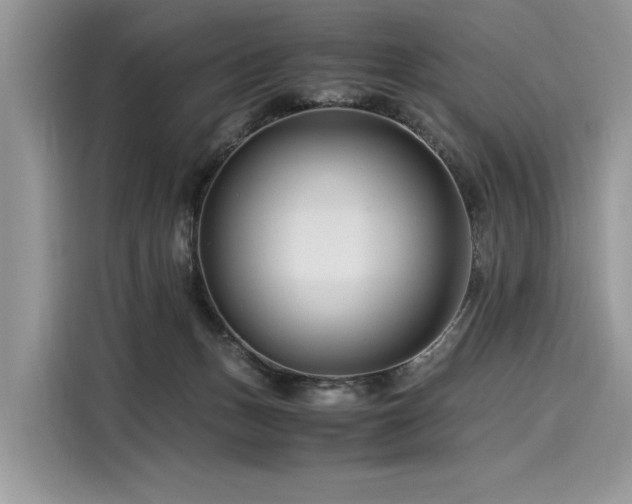 X0000116260175200911301200