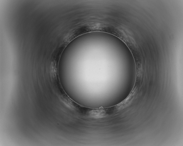 X0000116260179200911301200