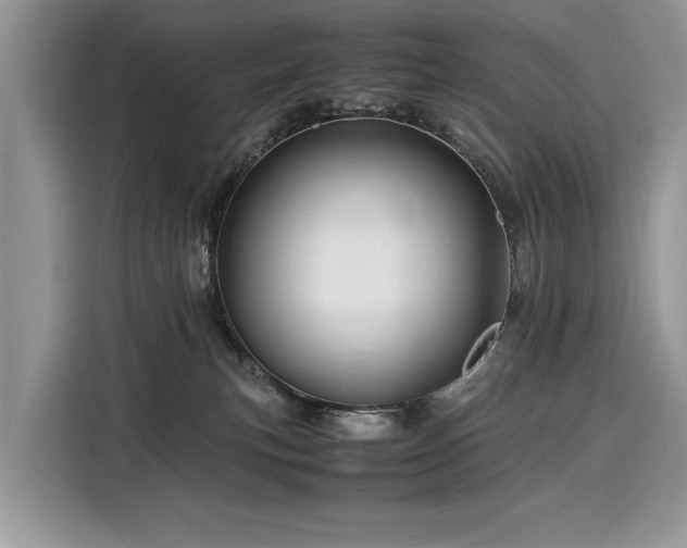 X0000116260183200911301200