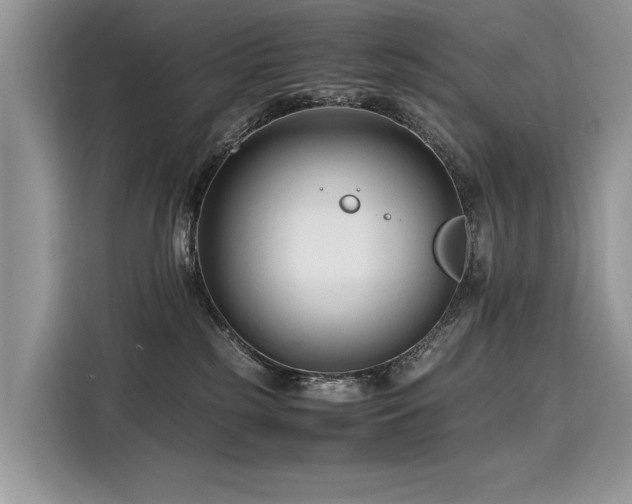 X0000116260185200911301200