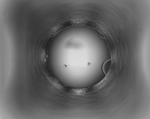X0000116260187200911301200