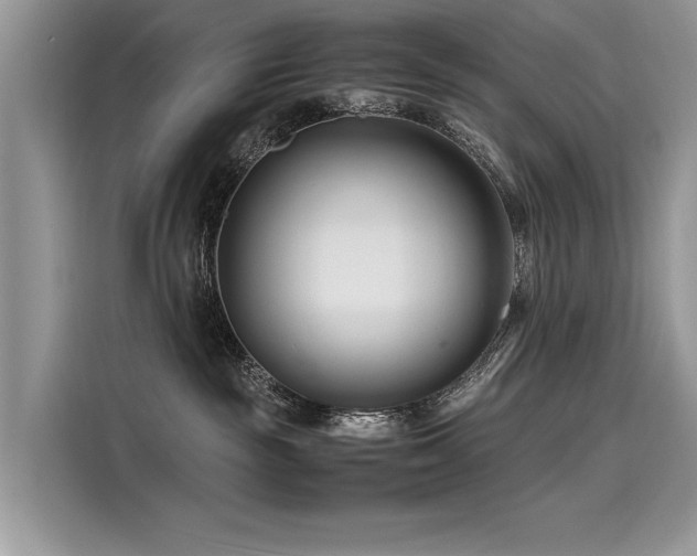 X0000116260189200911301200