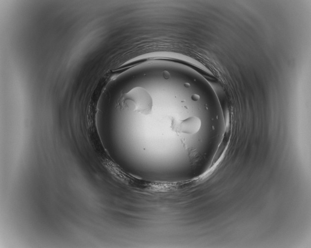 X0000116260190200911301200