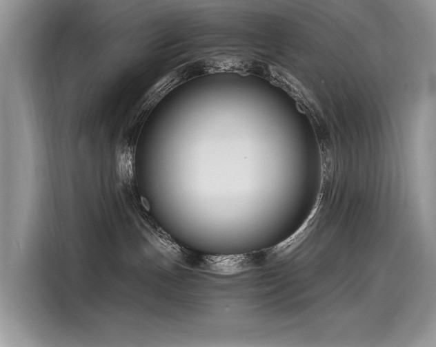 X0000116260191200911301200