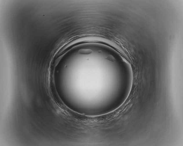 X0000116260194200911301200