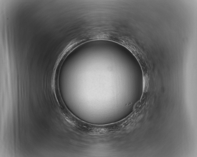 X0000116260195200911301200