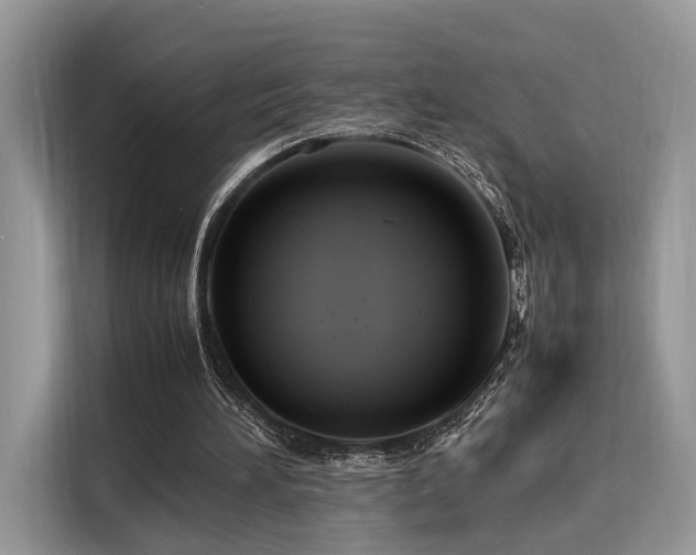 X0000116260196200911301200