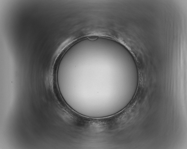 X0000116260199200911301200