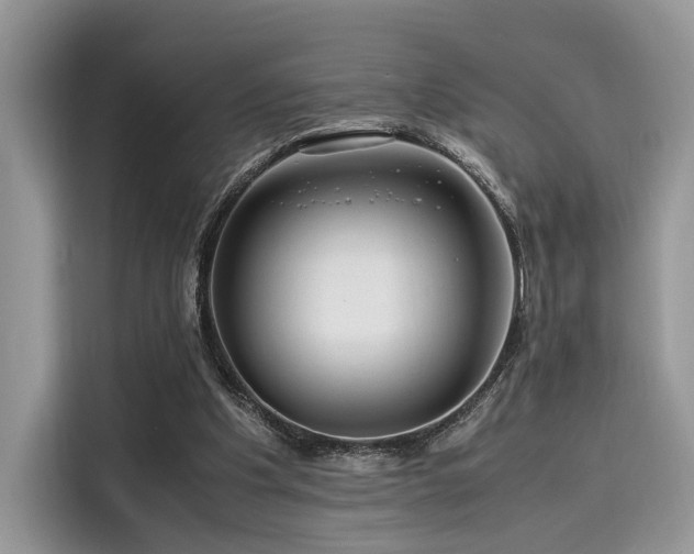 X0000116260201200911301200