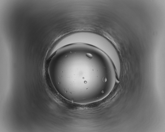 X0000116260203200911301200