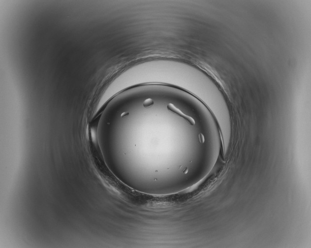 X0000116260205200911301200