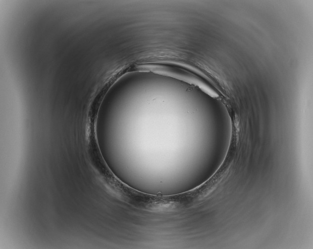 X0000116260206200911301200