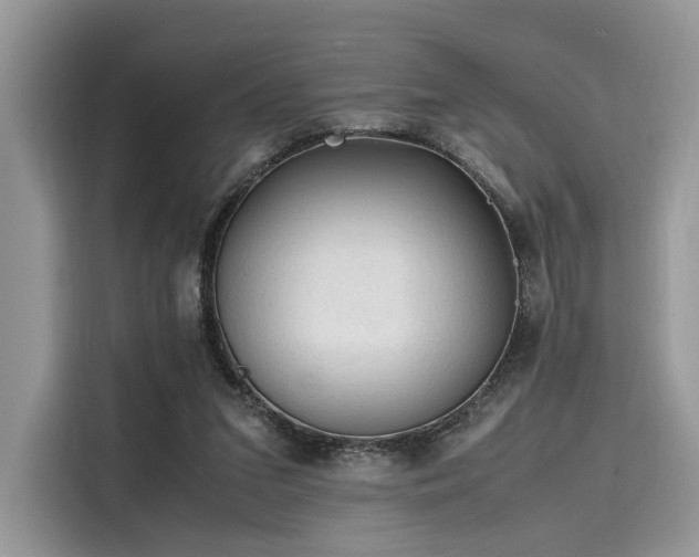 X0000116260207200911301200