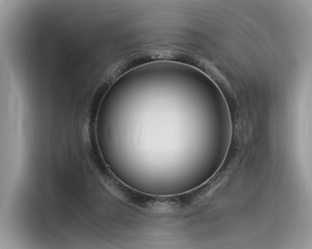 X0000116260209200911301200